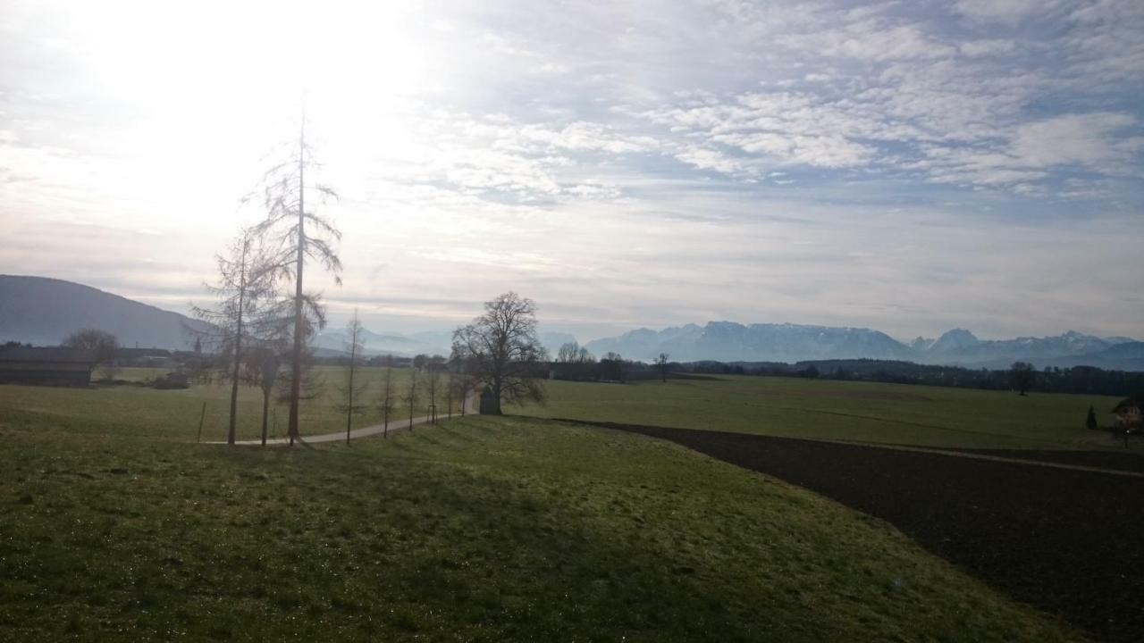 Ferienwohnung An Der Idyllischen Salzachschleife Naehe Salzburg Laufen Εξωτερικό φωτογραφία